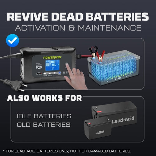 Powerwin P20 12V/24V 20A Automatic Battery Charger for Car