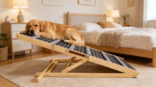 Adjustable Dog Ramp for Couch & Sofa – Solid Wood Pet Steps with 6